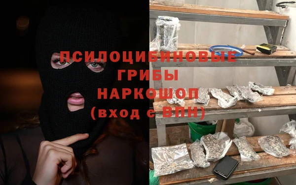 мдма Снежногорск