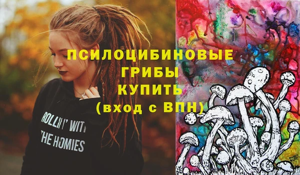 герыч Снежинск