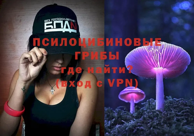 купить   Красноярск  Псилоцибиновые грибы MAGIC MUSHROOMS 