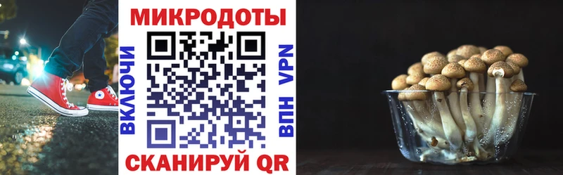 Галлюциногенные грибы Psilocybine cubensis  хочу   Красноярск 